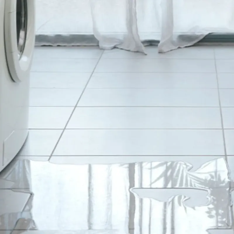 Appliance Leak Cleanup in Lake Orion, MI