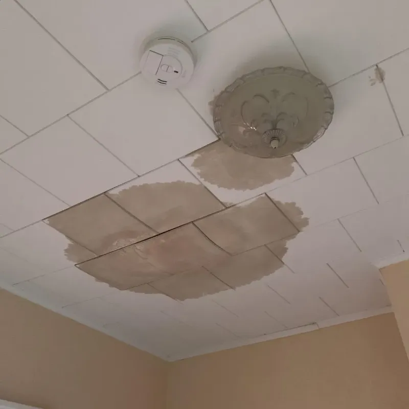 Ceiling Water Damage Repair in Lake Orion, MI