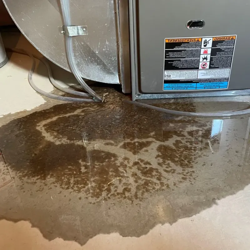 Pipe Burst and Leak Restoration in Lake Orion, MI